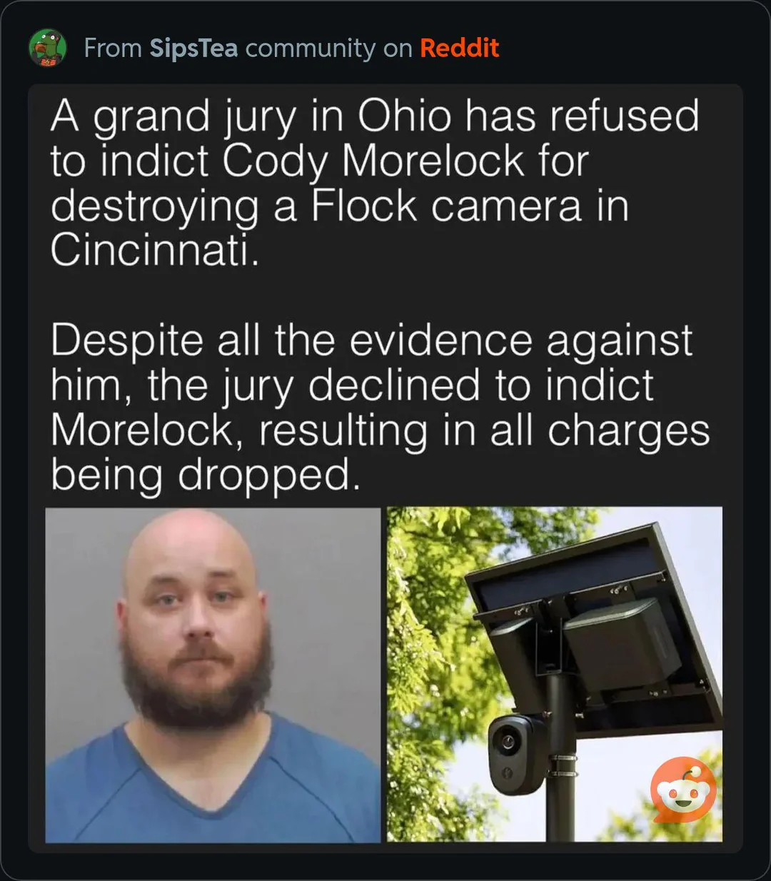 If a flock camera falls in the woods and no one is there to see it, does it make a sound?