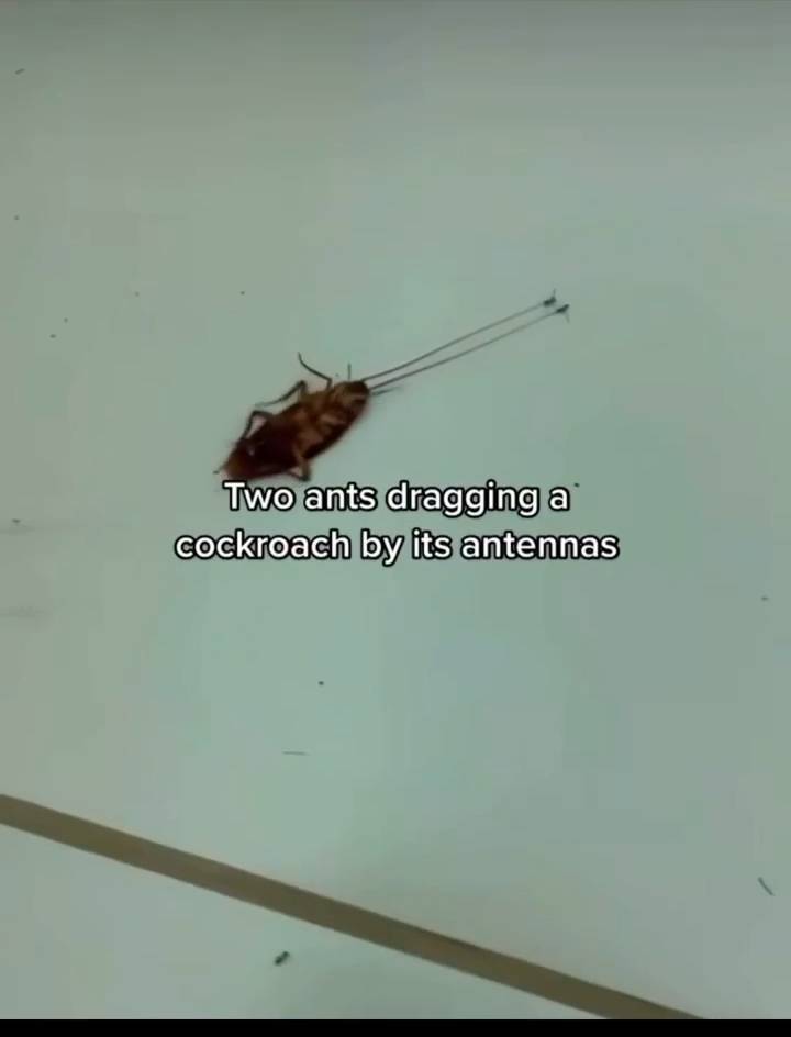 Funny