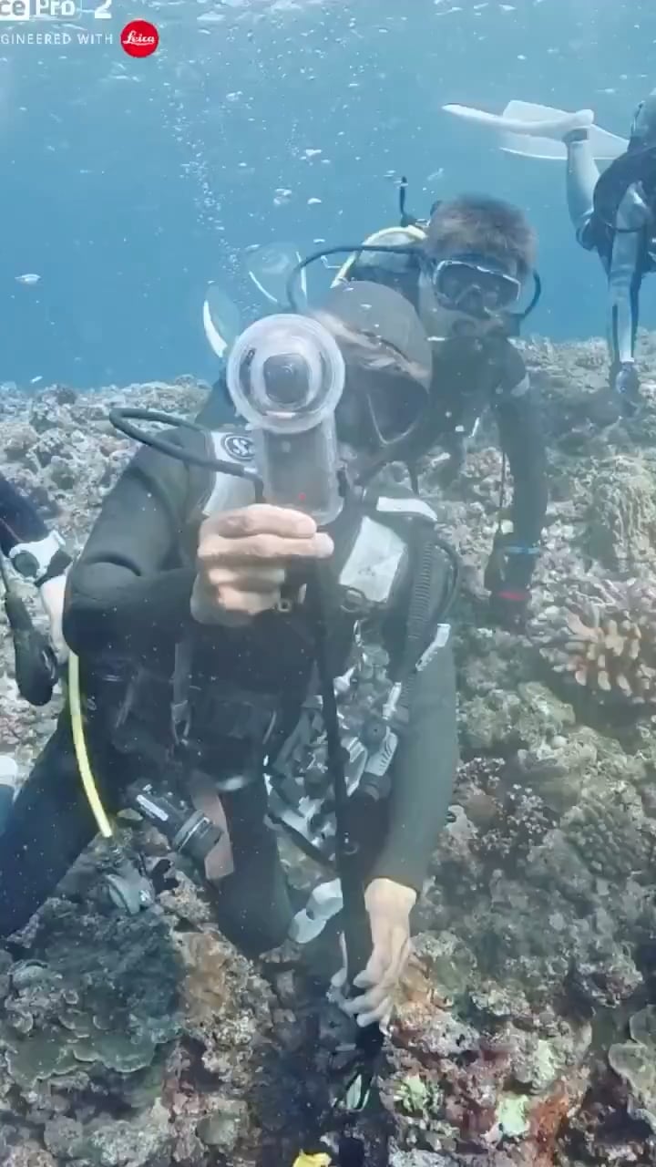 Footage of diving instructor miyakojima kunisan