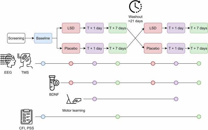 Acute and post-acute neurobehavioral responses to lysergic acid diethylamide in healthy subjects: a randomized controlled study - ELI5: LSD could improve motor learning the next day in healthy people