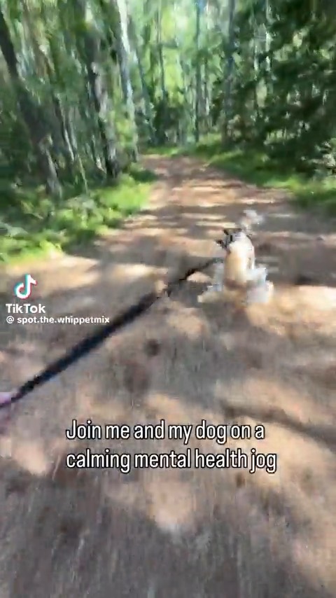 When meditation doesn’t work just go on a relaxing wa…